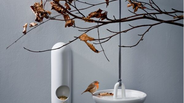 Help tuinvogels de winter door