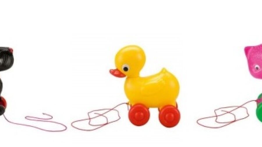 Veiligheidswaarschuwing trekdier hond, eend en kat