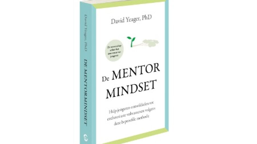 De mentormindset