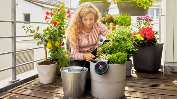 Watergeven met zonlicht