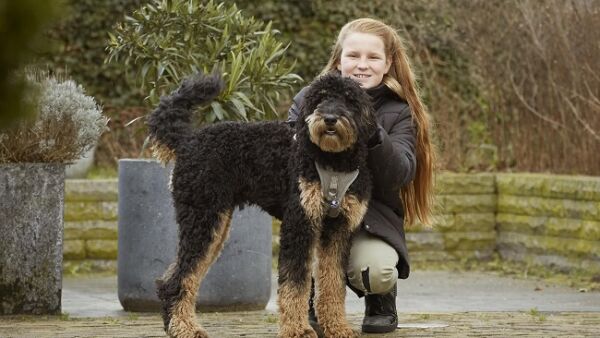 Penning met QR-code om vermist huisdier sneller te herenigen met baasje