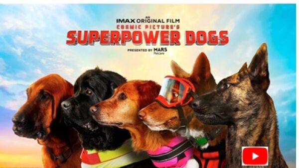 Superpower Dogs vanaf 2 juli in Omniversum