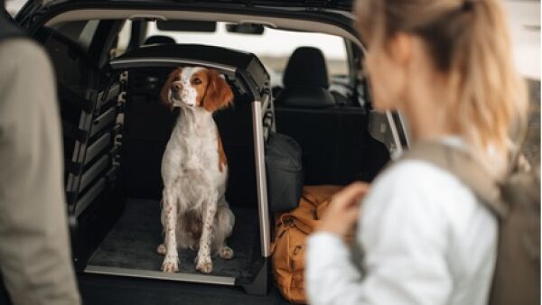 Thule lanceert de Thule Allax hondenbench