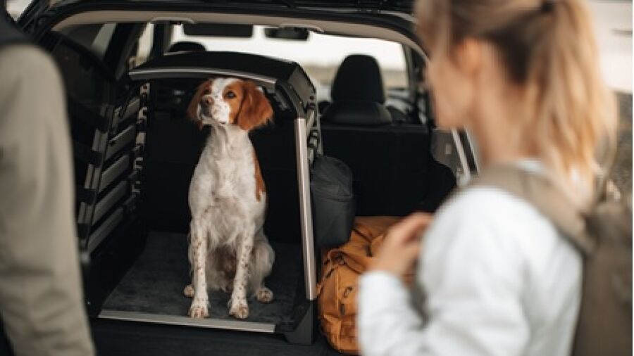 Thule lanceert de Thule Allax hondenbench