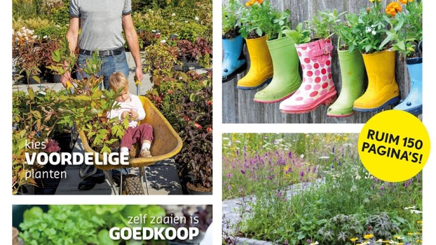 Tuinieren met weinig poen