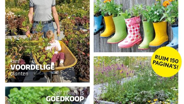 Tuinieren met weinig poen