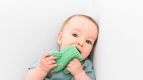 Bijt eens op een cactus….