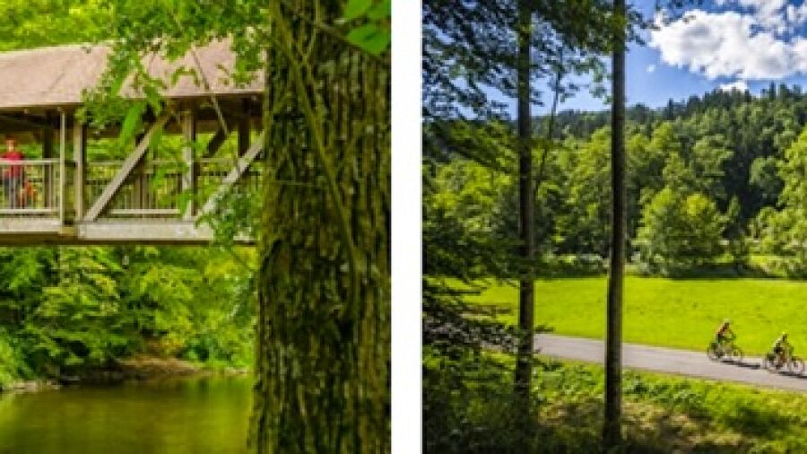 Fietsen in Zwarte Woud