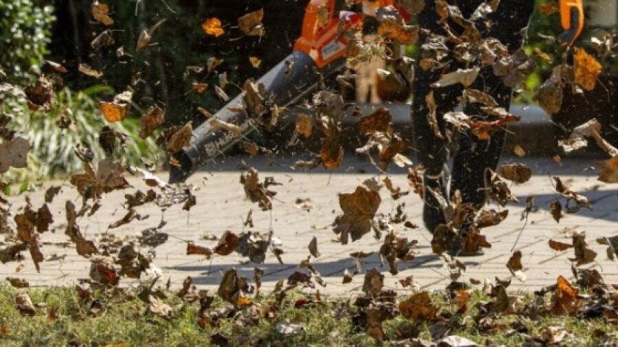 Bladblazer met orkaankracht