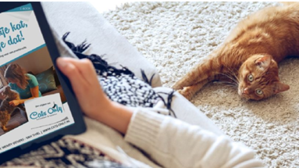 ‘Een klitvrije kat, zo doe je dat!’