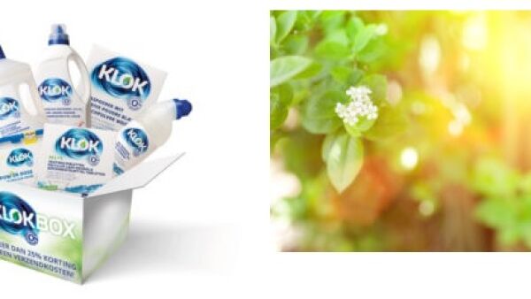 Lekker fris het voorjaar in