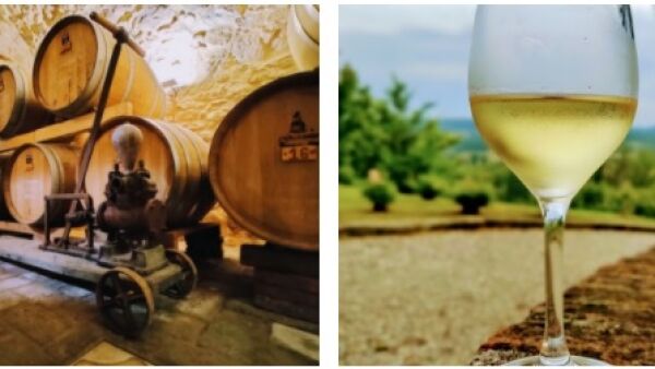 Koop Een Vat: unieke wijn uit je eigen vat