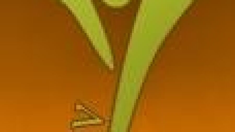 Oproep VIV tot professionalisering alternatieve zorg heeft succes