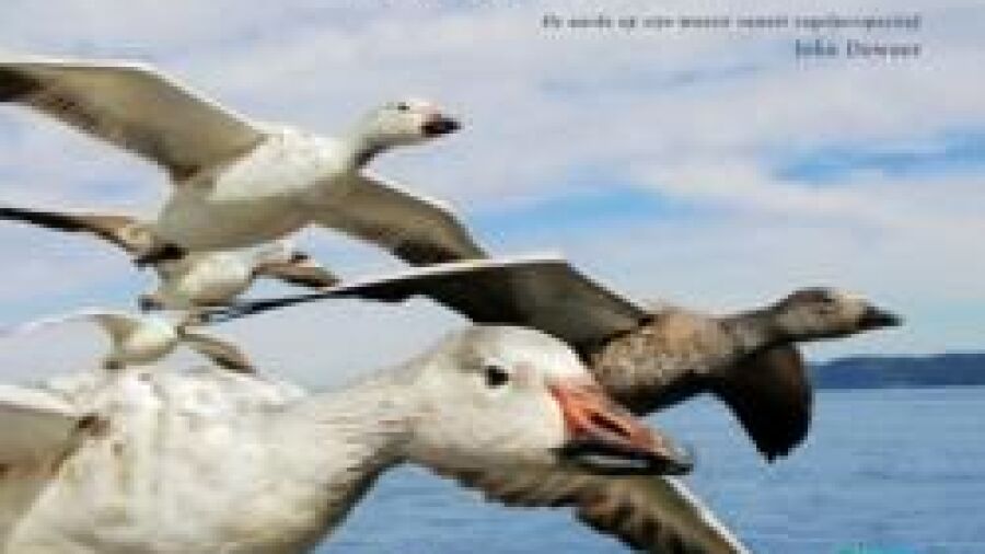 Boek bij succesvolle BBC-serie Earthflight verschenen