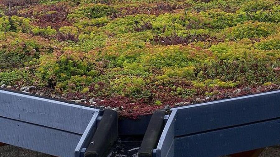 TU Eindhoven enthousiast over groene daken