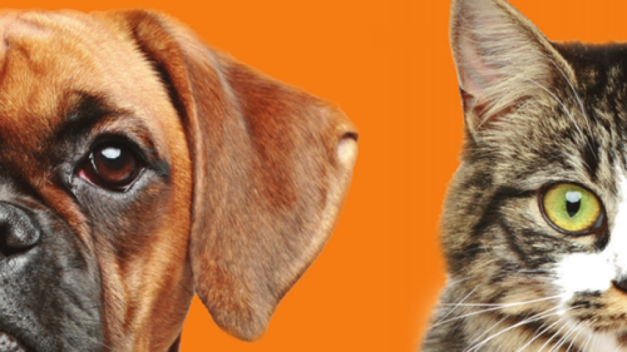 Natuurlijke voeding voor uw hond of kat