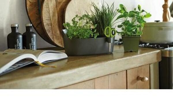 Een huis vol verse kruiden