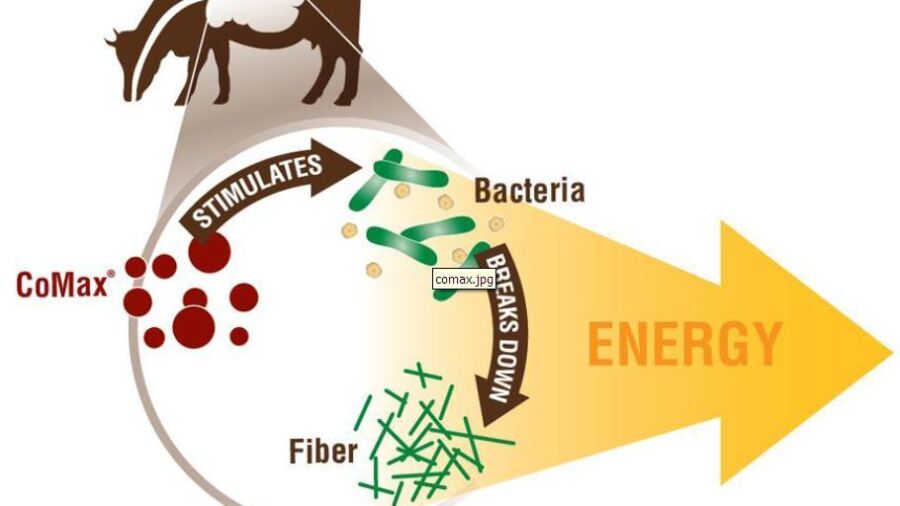 Generate, meststof voor micronutriínten