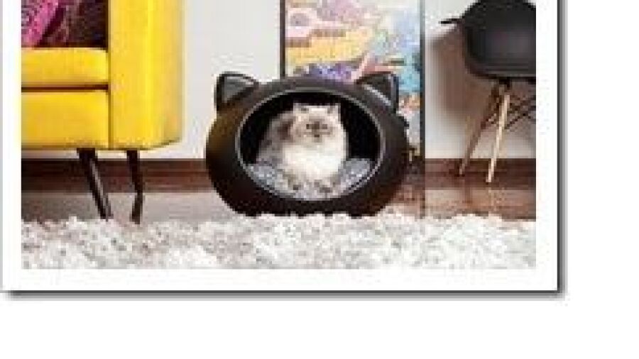 Guisapet Cave: dí© ultieme slaapplek voor honden en katten