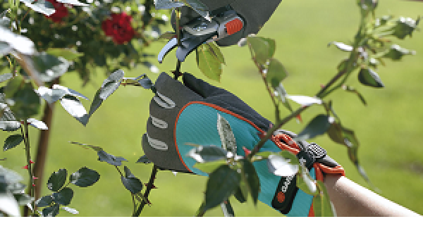 Gardena introduceert een vijftal nieuwe handschoenen