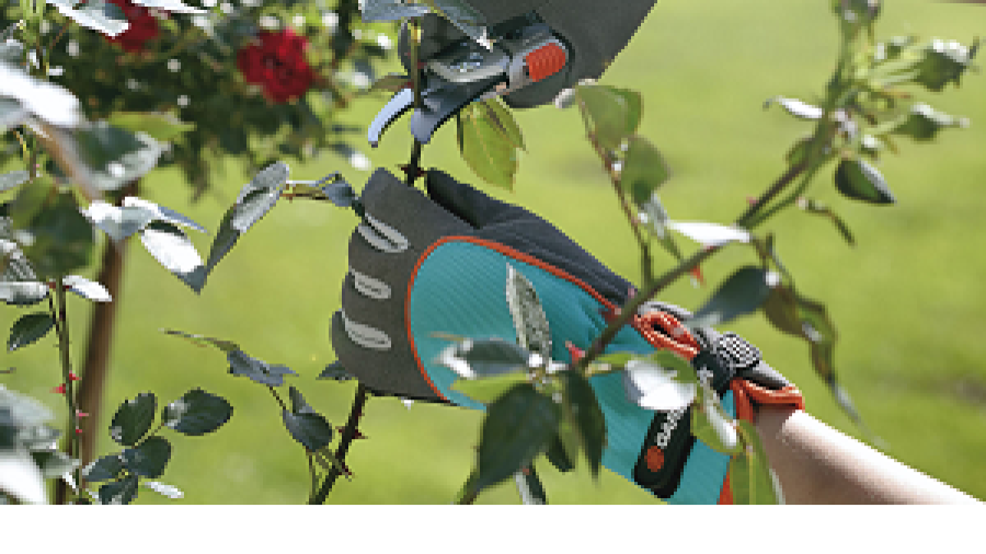 Gardena introduceert een vijftal nieuwe handschoenen