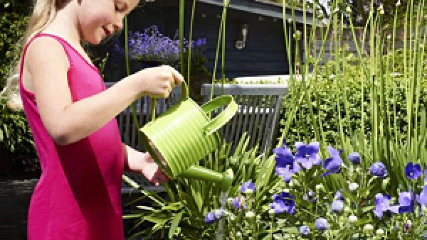 Bloementuin in een handomdraai