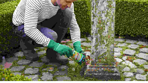 Gel voor onkruidbestrijding