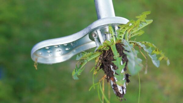 Eenvoudig onkruid verwijderen