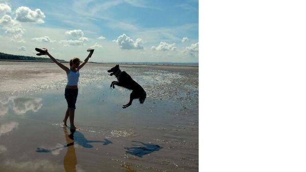 Met Synopet blijft u 퀌?퀌?k de gewrichten van uw hond de baas!