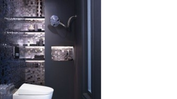 Nieuwe douchewc die oogt als een normaal toilet