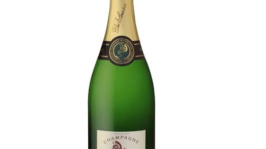 Een Magnum voor grote families