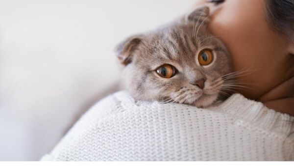 Max en Luna  eenn platform dat helpt om het leukste baasje voor je hond of kat te zijn