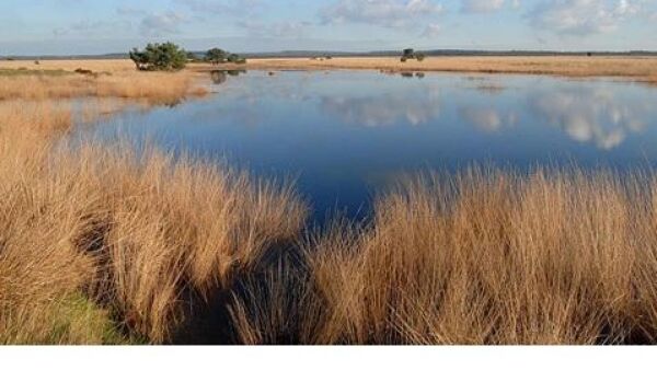 Open Nederlands Kampioenschap Natuurfotografie 2017 in Het Nationale Park De Hoge Veluwe