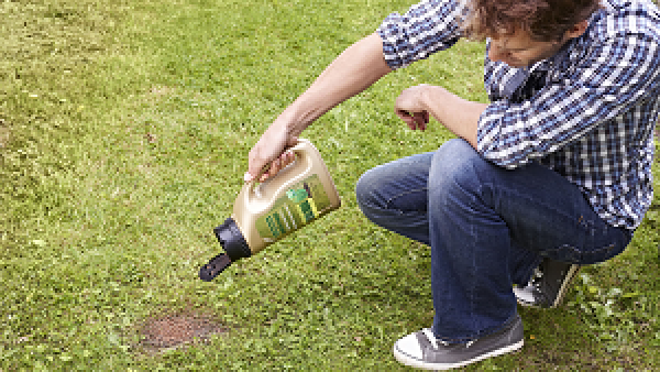 Snel herstel van gazon