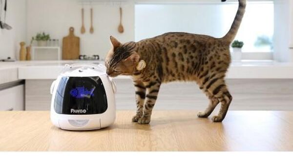 iPuppyGo houdt lichaamsbeweging en gezondheid van jouw huisdier in de gaten