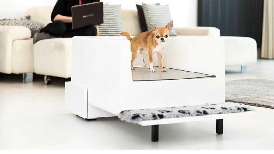 Geurloos hondentoilet zonder chemicalien