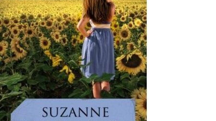 De nieuwe zomerthriller van Vermeer