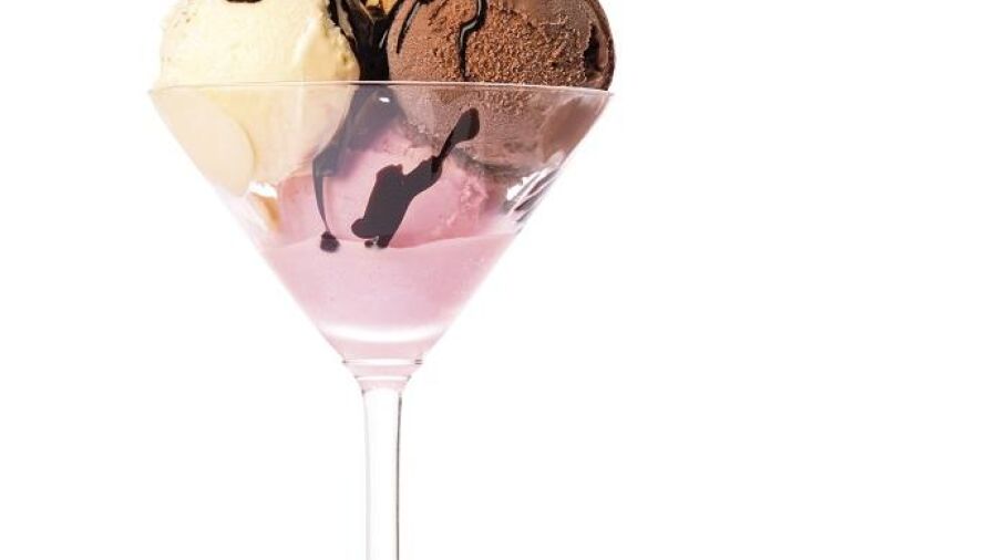 Gelateria Pro maakt professionele sorbets, roomijs, frozen yoghurt en gelato