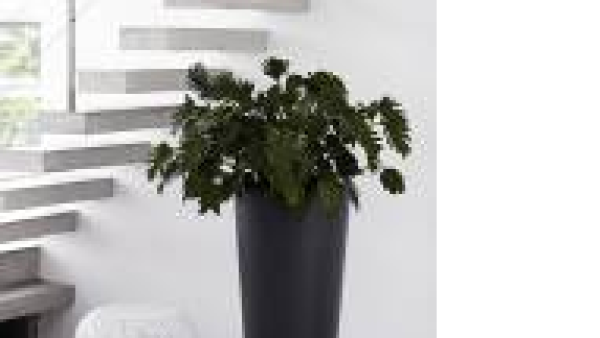 Een eyecatcher van formaat!