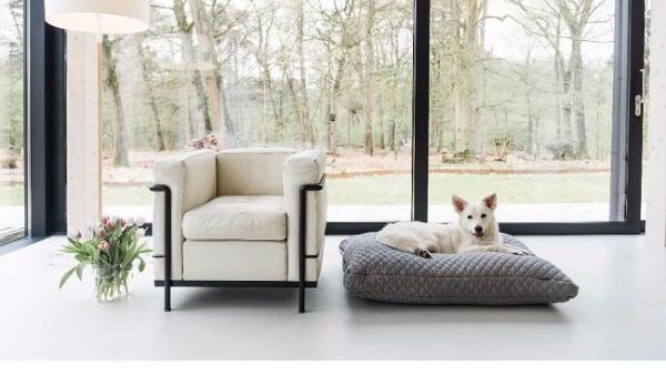 Stijlvolle kussens van Hotdog Designs een musthave voor dierenliefhebbers