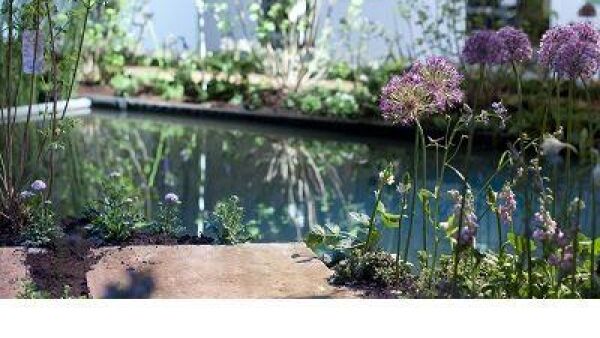 Spannend TuinIdee: Vijftig tinten groen