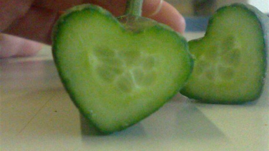 Albert Heijn gaat Valentijns-komkommers verkopen