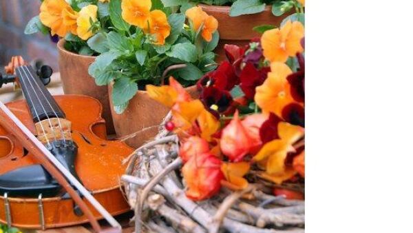 Kleurrijke bloeiers voor herfst en winter