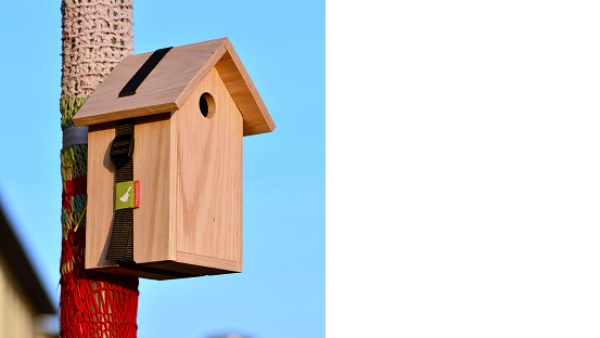 Vernuftig nestkastje