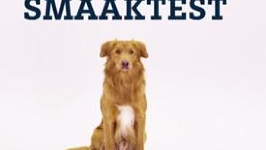 Detox programma voor honden