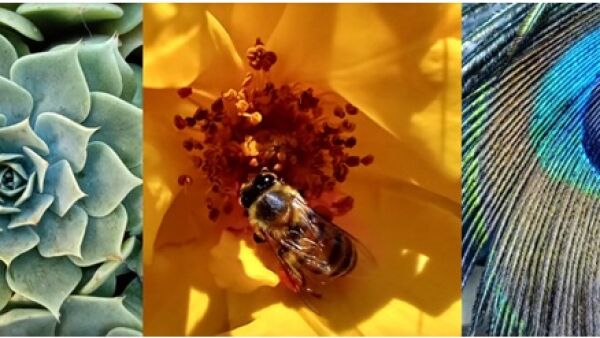 Het beste voor jou: de motorola one macro, moto g8 plus en moto e6 play