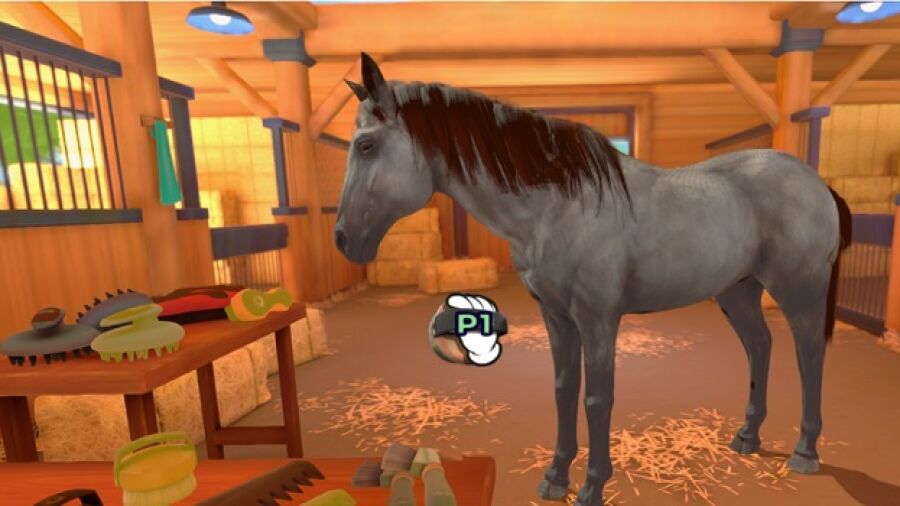 Word een prof in paardrijden met ‘Alles over Paardrijden’, nu beschikbaar!