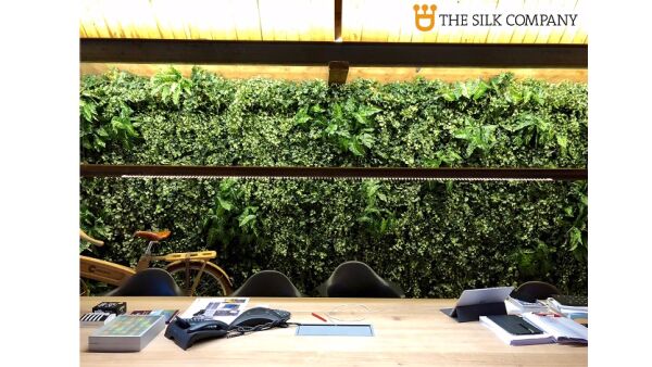 Creëer een aangename werkomgeving met een plantenwand