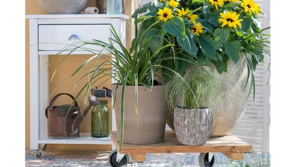 Zonnig vakantiegevoel op eigen terras