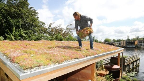 Jij kunt een steentje bijdragen aan een groenere wereld!